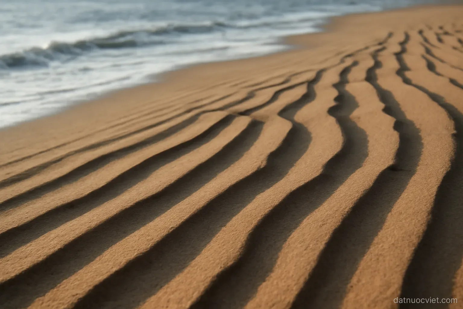 Series of low parallel sand ridges lying inland behind a present shoreline, each ridge marking an older water margin