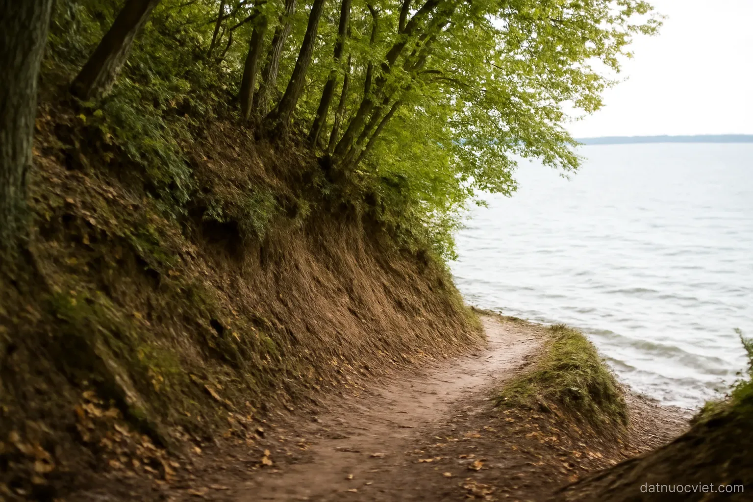 Narrow pinch point where wooded slope drops almost directly to the shoreline, only a thin strip of level ground remaining
