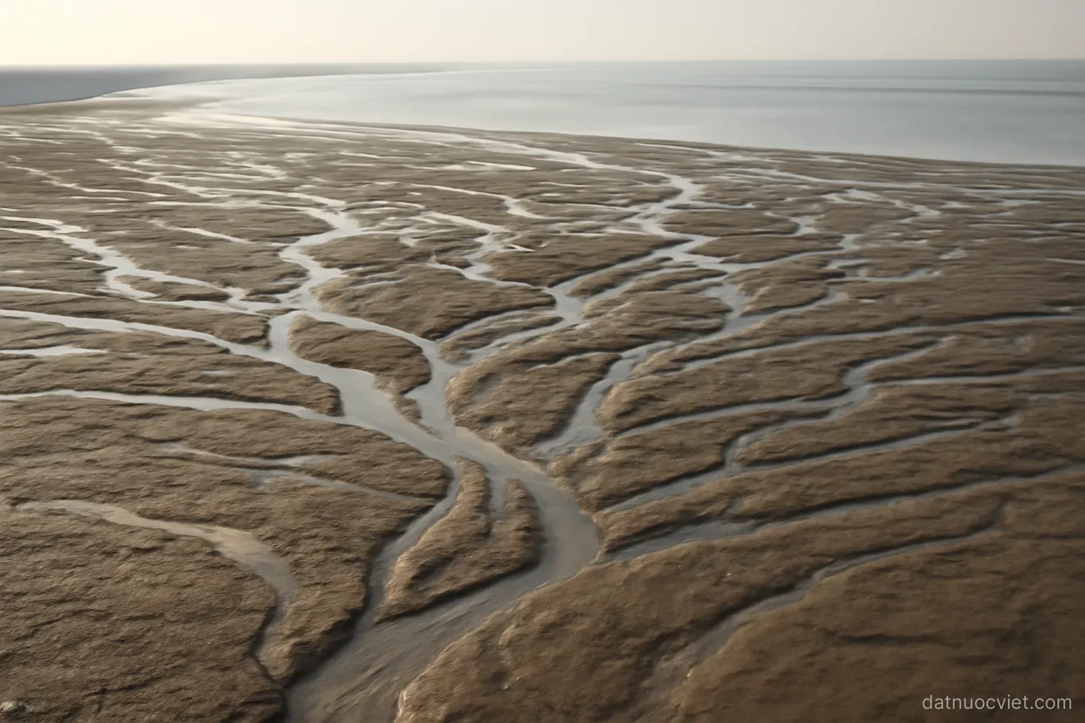 Braided network of shallow channels spreading across a flat plain, dividing repeatedly toward a distant waterline